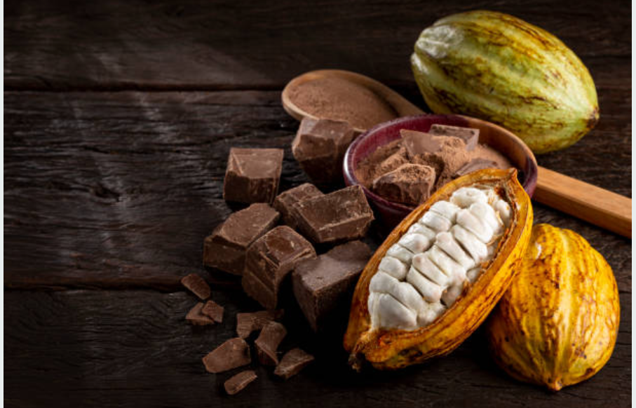 Come si fa? Il Cioccolato con Slow Food®