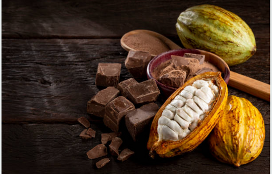 Come si fa? Il Cioccolato con Slow Food®